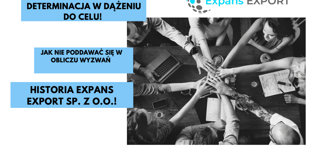 Projekt bez nazwy (1)