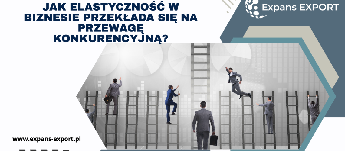 Projekt bez nazwy